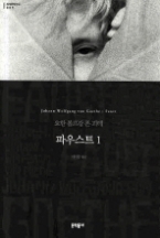 파우스트 1 (보급판)(문학동네 세계문학전집 009)